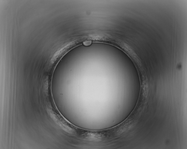 X0000116770442200912241207
