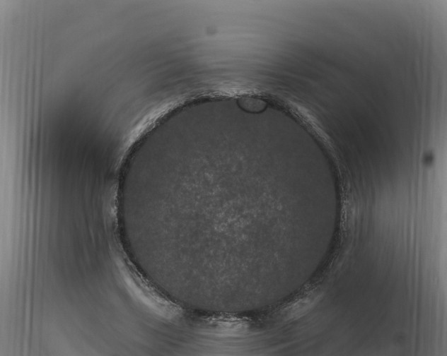 X0000116770443200912241207