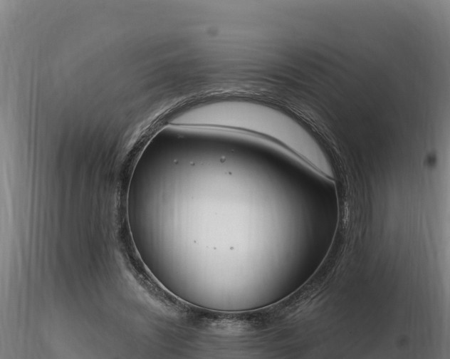 X0000116770444200912241207