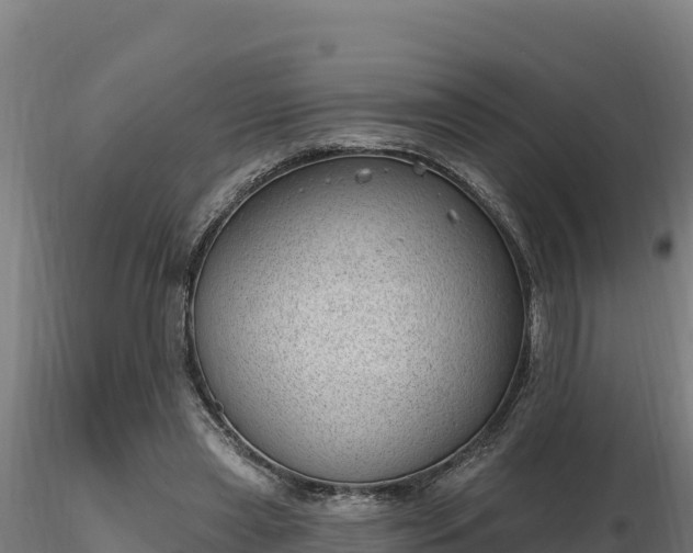 X0000116770445200912241207