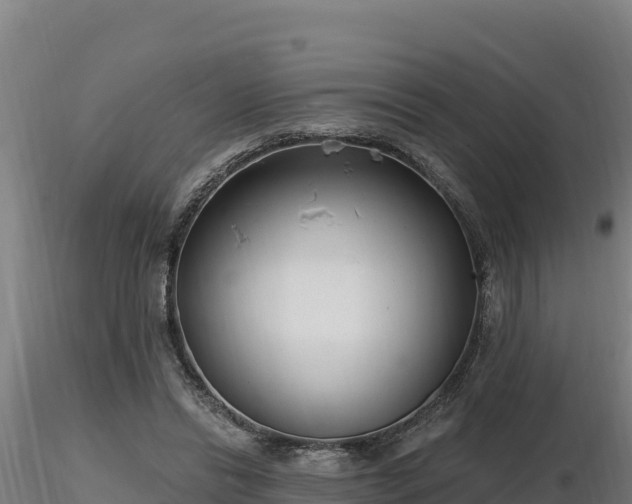 X0000116770446200912241207