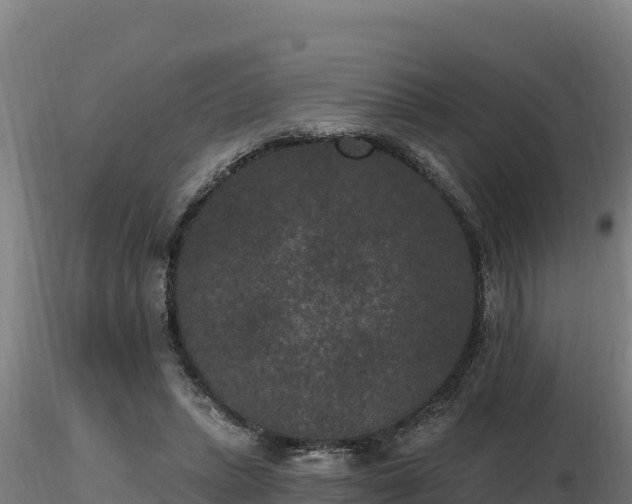 X0000116770447200912241207