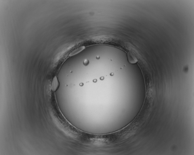 X0000116770448200912241207