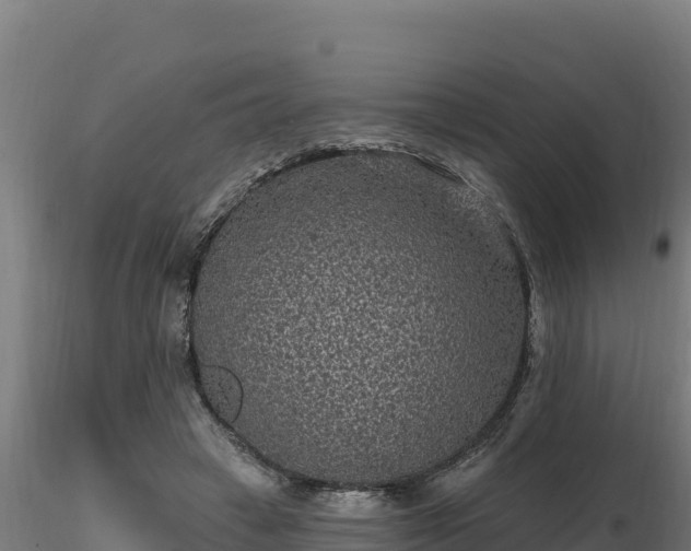 X0000116770449200912241207