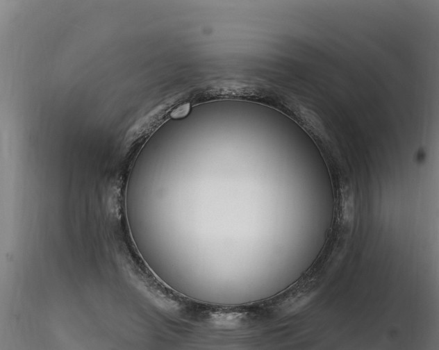 X0000116770450200912241207