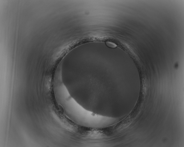 X0000116770451200912241207
