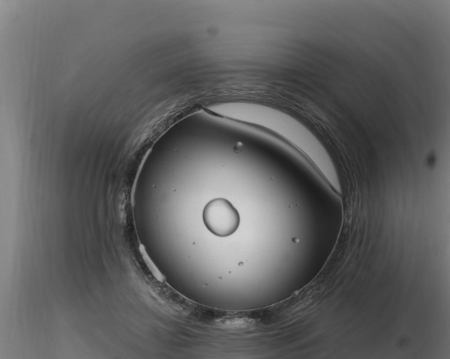 X0000116770452200912241207