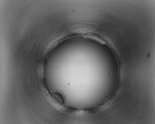 X0000116770453200912241207