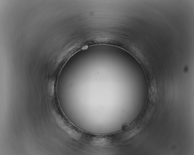 X0000116770454200912241207