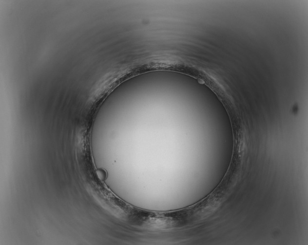 X0000116770455200912241207