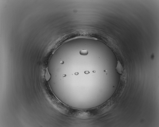 X0000116770456200912241207