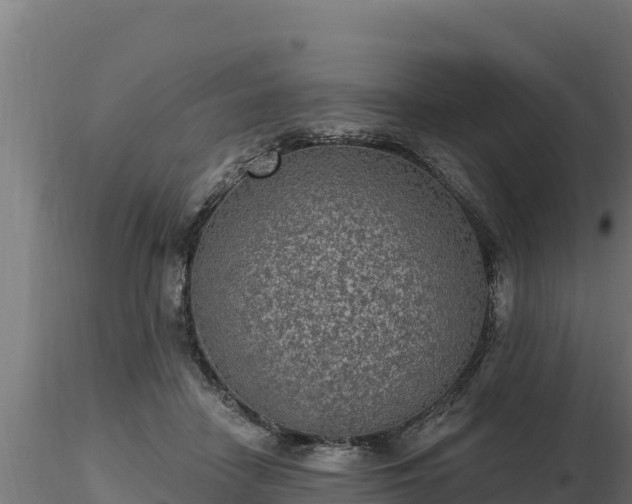 X0000116770458200912241207