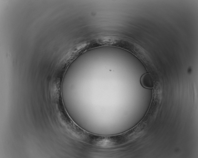X0000116770460200912241207