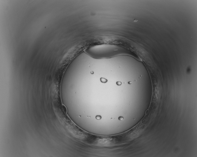X0000116770461200912241207