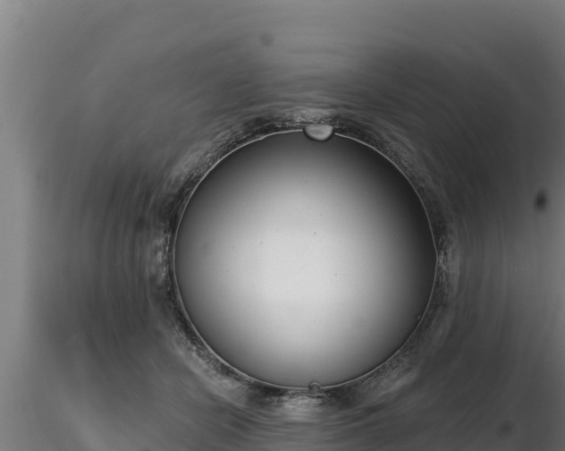 X0000116770462200912241207