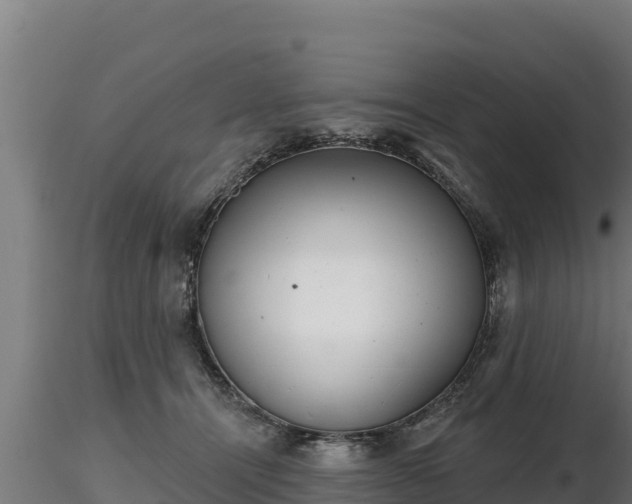 X0000116770464200912241207
