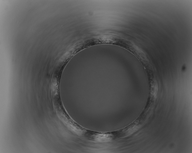 X0000116770465200912241207