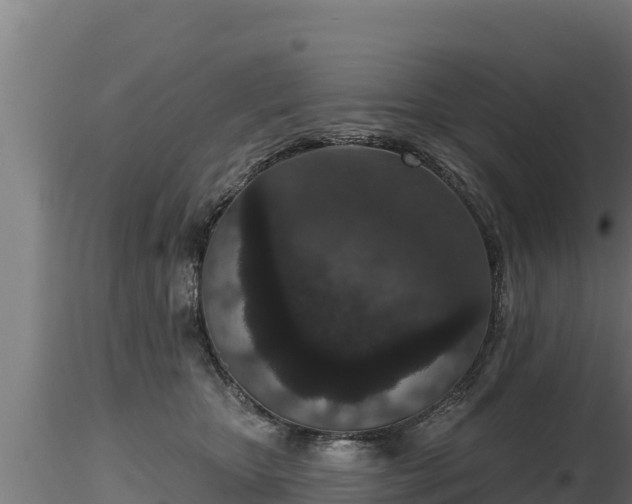 X0000116770467200912241207