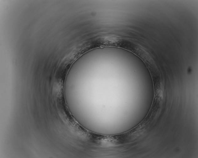 X0000116770468200912241207