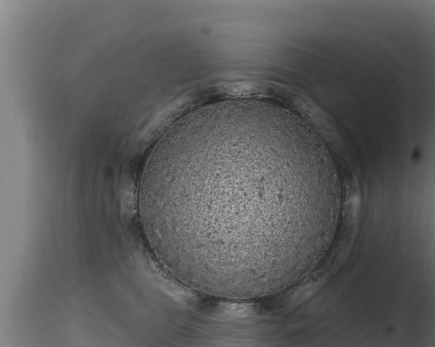 X0000116770469200912241207