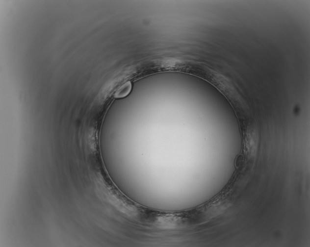 X0000116770470200912241207