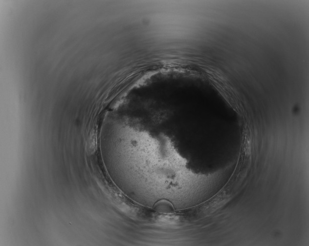 X0000116770471200912241207