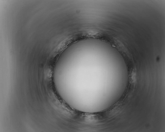 X0000116770472200912241207