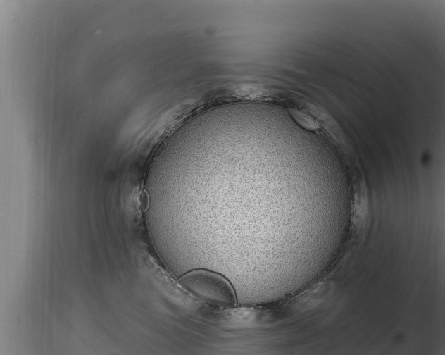X0000116770473200912241207