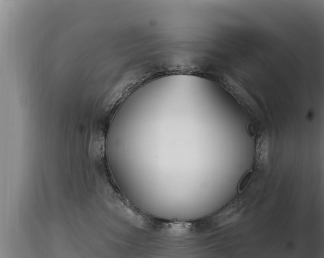 X0000116770474200912241207