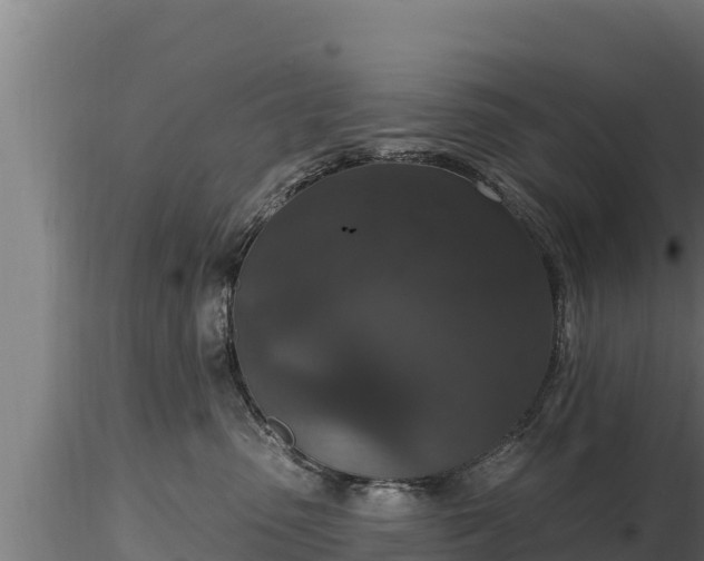 X0000116770475200912241207
