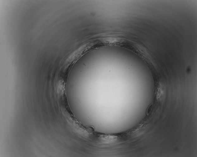 X0000116770476200912241207