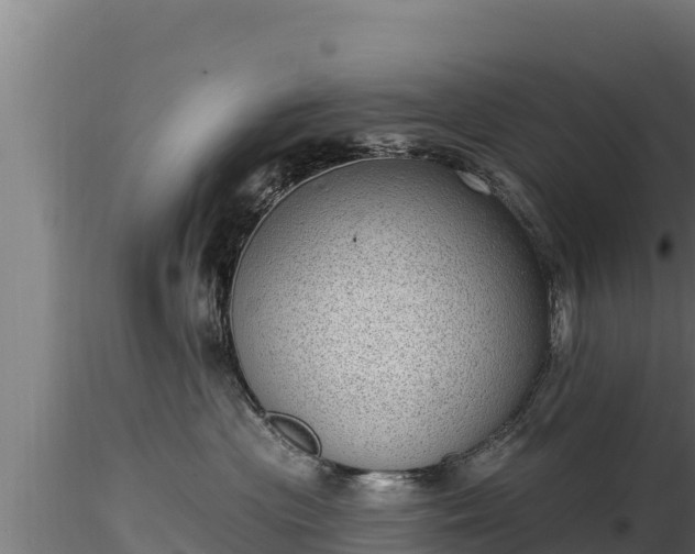 X0000116770477200912241207