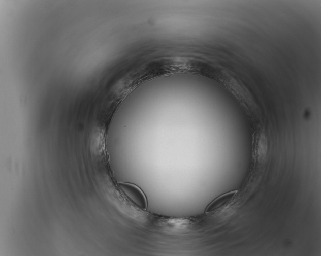 X0000116770478200912241207