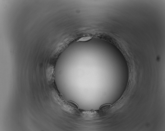X0000116770480200912241207