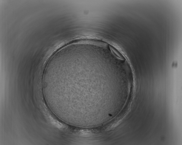 X0000116770481200912241206