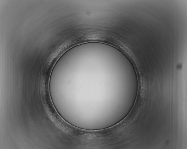 X0000116770482200912241206