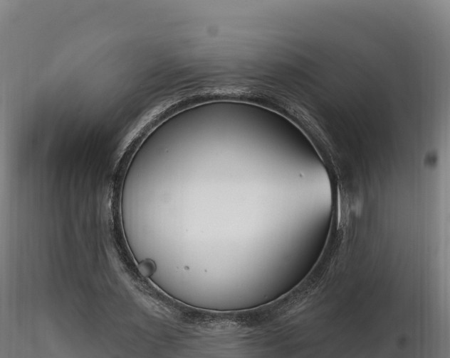 X0000116770483200912241206