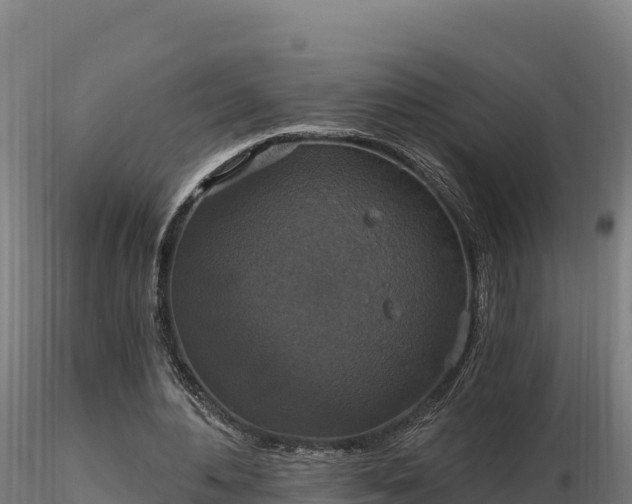 X0000116770484200912241206