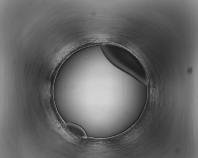 X0000116770485200912241206