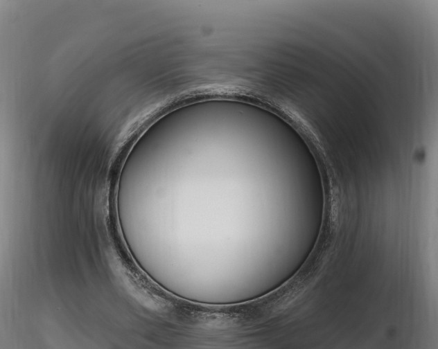 X0000116770486200912241206