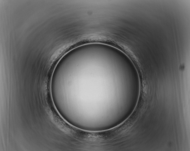 X0000116770487200912241206