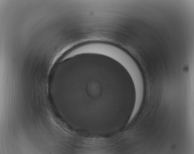 X0000116770488200912241206