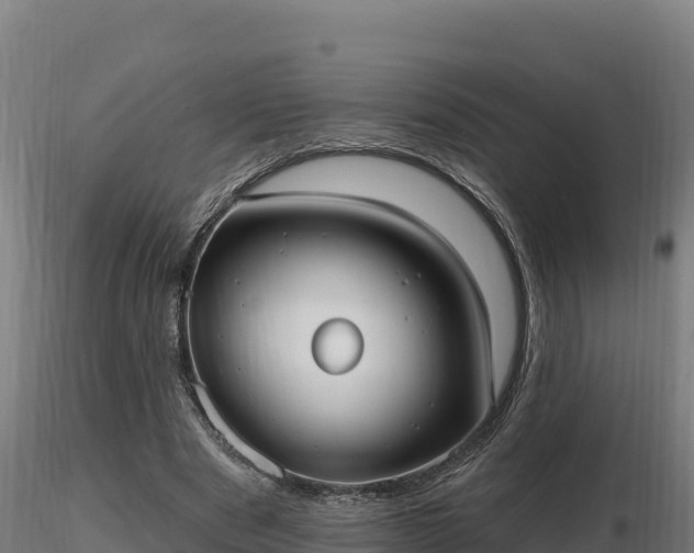 X0000116770489200912241206