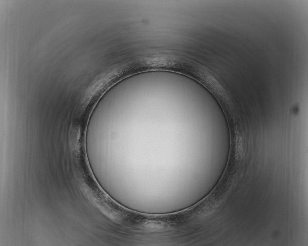 X0000116770490200912241206
