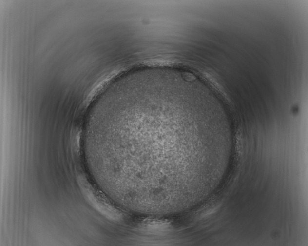 X0000116770491200912241206