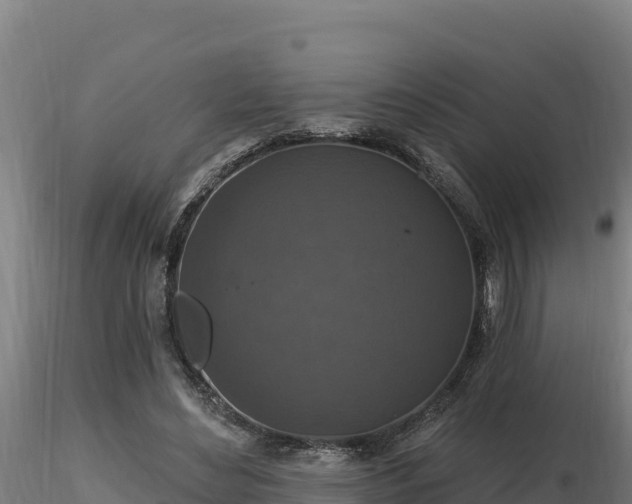 X0000116770492200912241206