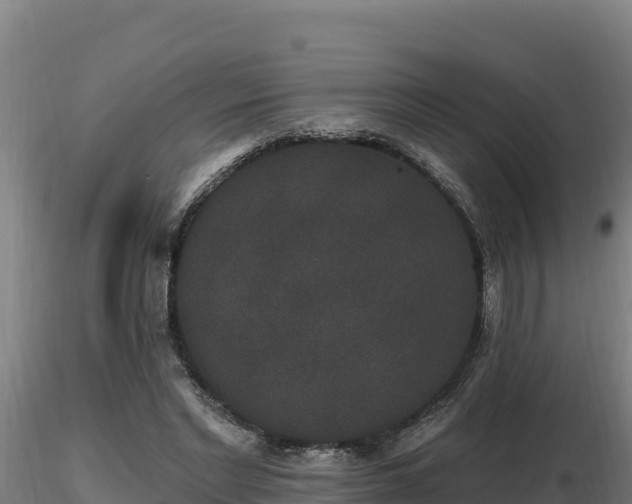 X0000116770493200912241206