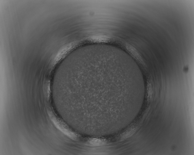 X0000116770494200912241206