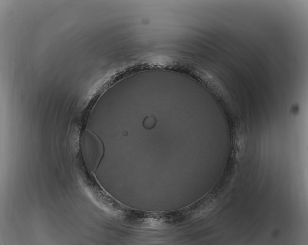 X0000116770496200912241206