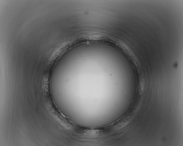 X0000116770497200912241206